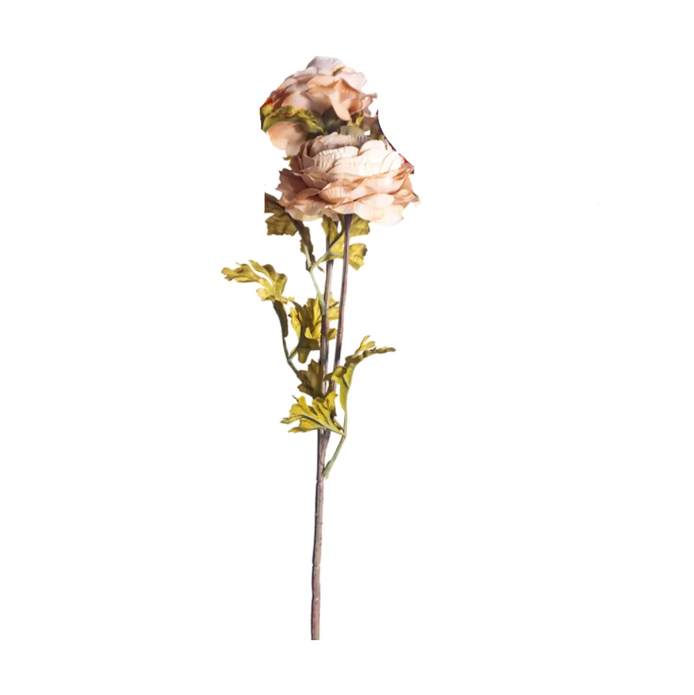 CRI Royal Ranunculus Stems