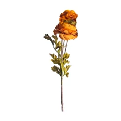 CRI Royal Ranunculus Stems