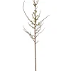 Winward Salmon Blossom Spray