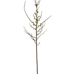 Winward Salmon Blossom Spray