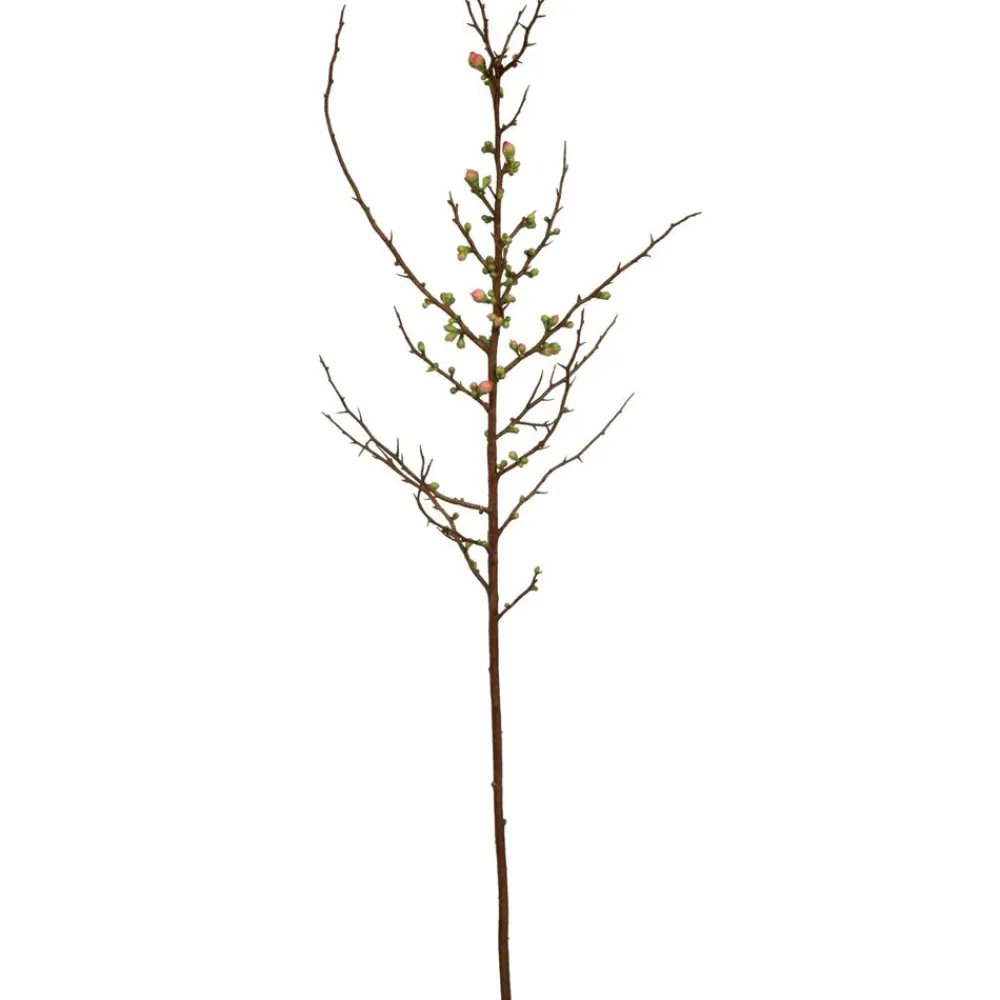 Winward Salmon Blossom Spray