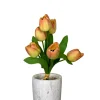CRI Salmon Tulip Bundle