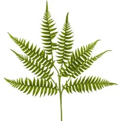 Liberty Floral Short Fern Spray