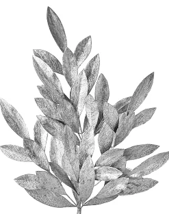 Regency Silver Clustered Bay Leaf Spray