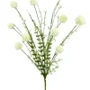 Liberty Floral Snowball Allium Bush