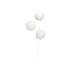 Craig Bachman Snowball Spray