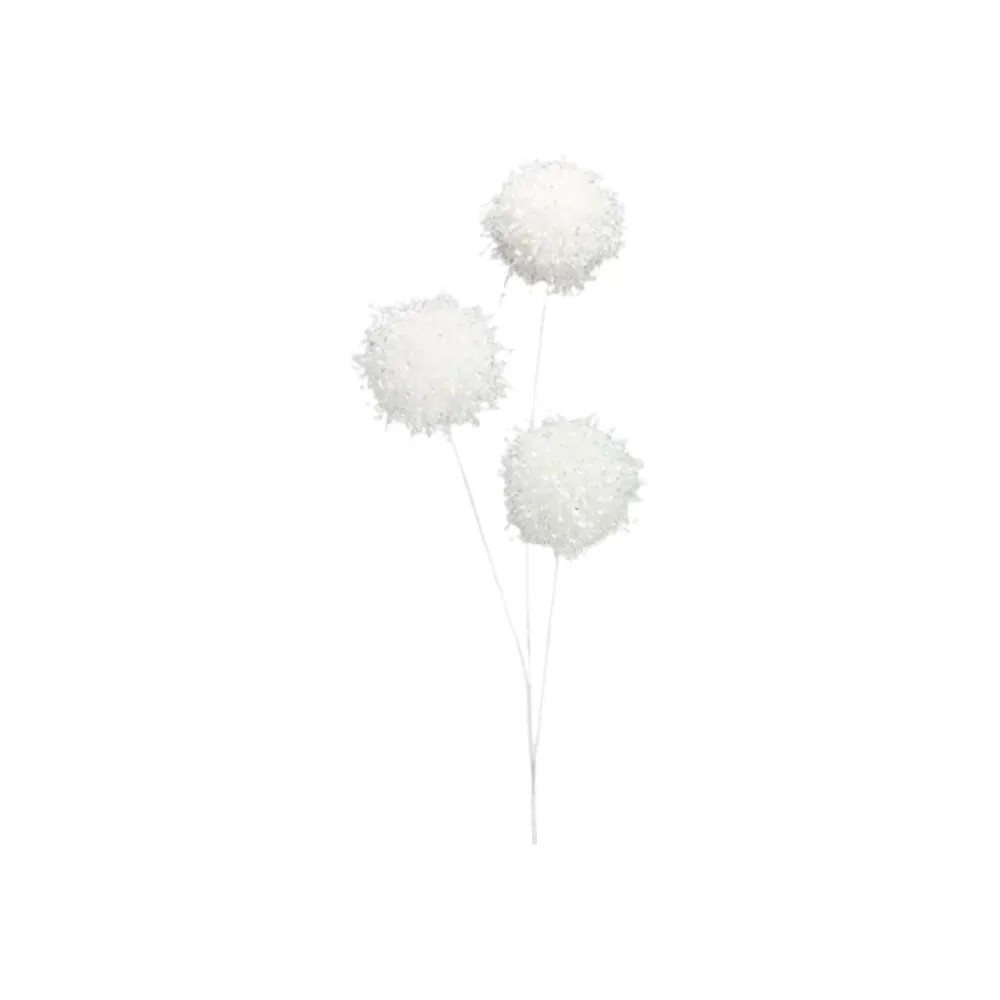 Craig Bachman Snowball Spray