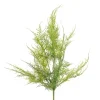 CRI Soft Touch Asparagus Fern Bush