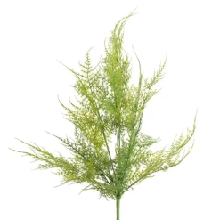 CRI Soft Touch Asparagus Fern Bush