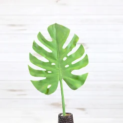 Liberty Floral Split Philo Leaf Large Stem