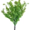 CRI Springeri Spray