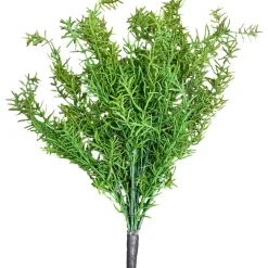 CRI Springeri Spray