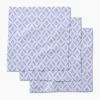 Geometry Spring Trellis Floral Dishcloth Set