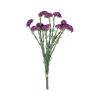 CRI Statice Lavender Bundle