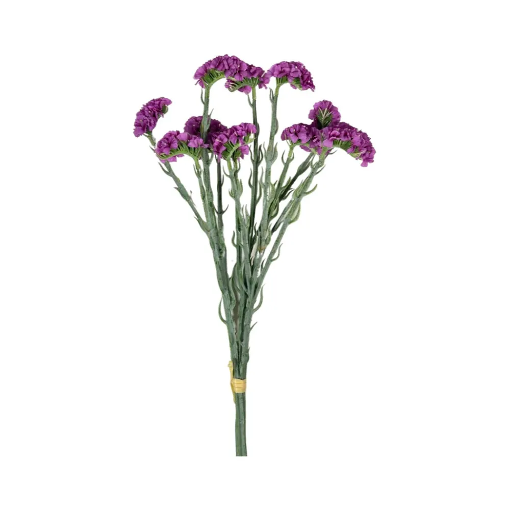 CRI Statice Lavender Bundle