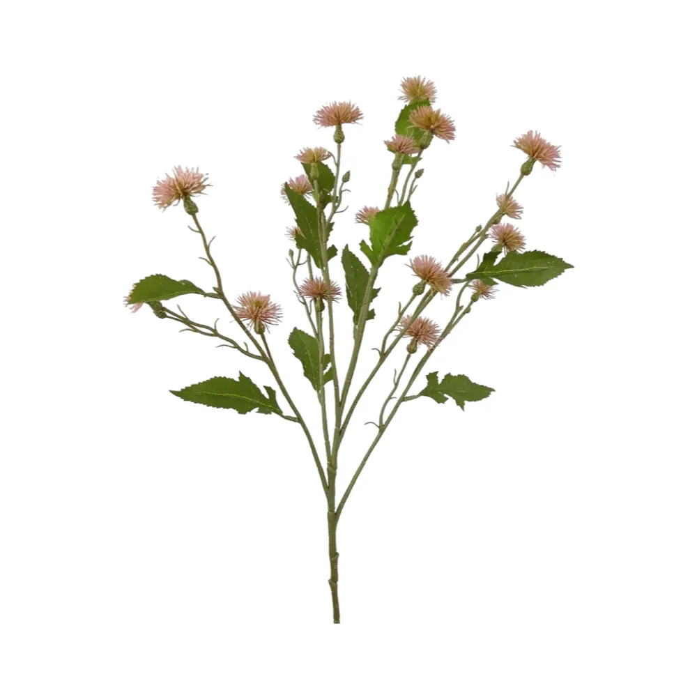 Liberty Floral Sweet Thistle Spray
