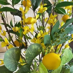 CRI Three Lemon Sprig