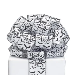 Burton & Burton Trick or Treat Ribbon, 2.5" X 20YD