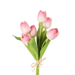 CRI Tulip Bundle, Pink