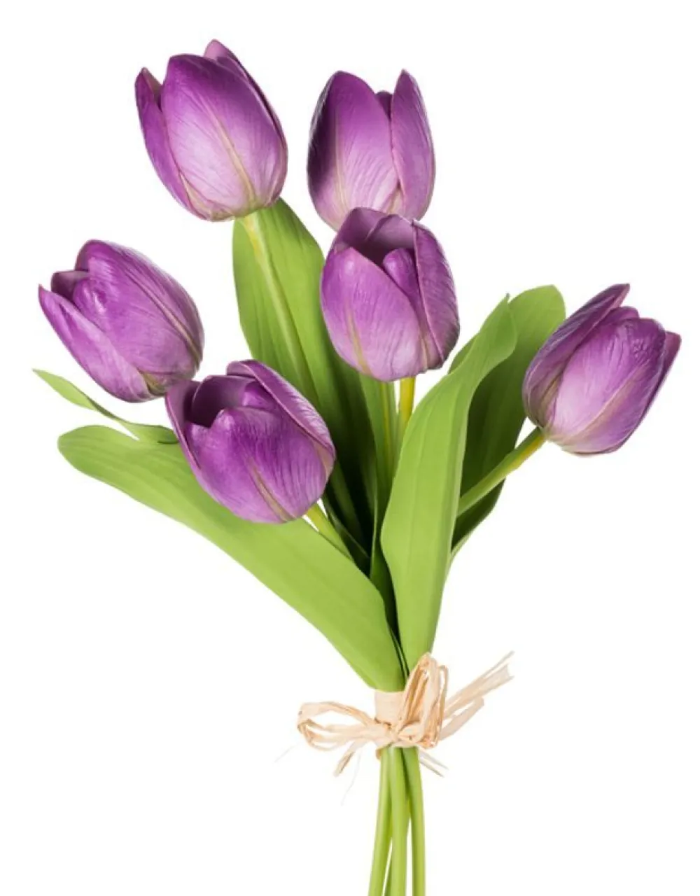 CRI Tulip Bundle, Purple