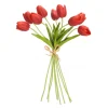 Melrose Tulip Bundle, Red