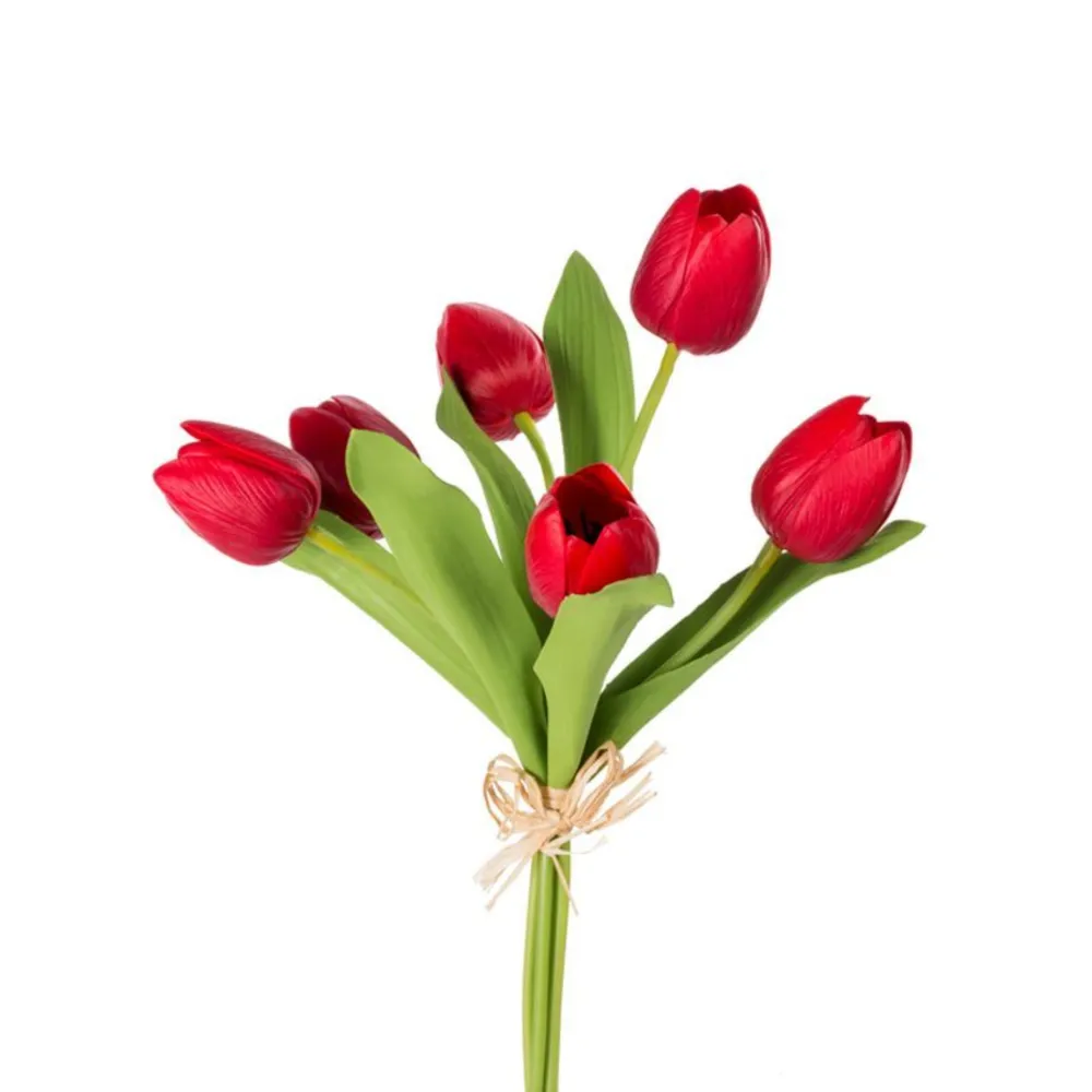 CRI Tulip Bundle, Red