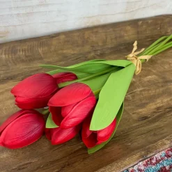 CRI Tulip Bundle, Red