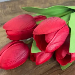 CRI Tulip Bundle, Red