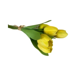CRI Tulip Bundle, Yellow