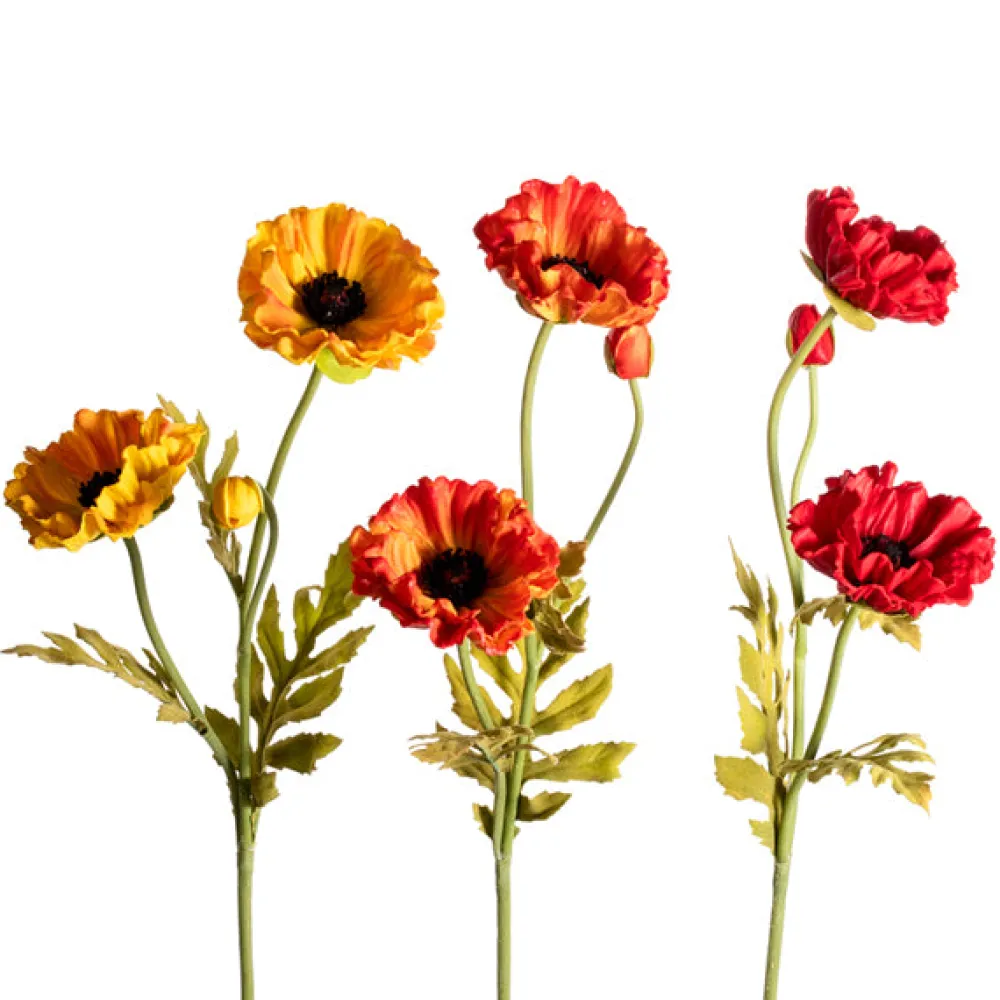 CRI Two Bloom Poppy Spray