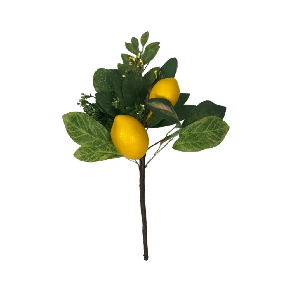 CRI Two Lemon Mix Spray