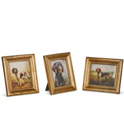 RAZ Vintage Bird Dog Framed Print