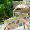 D. Stevens Watercolor Egg Ribbon, 2.5" X 10YD