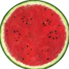 Hester & Cook Watermelon Placemat Set