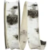 Reliant Ribbon White Birch Trees Bark Forest Ribbon, 1.5" X 10YD