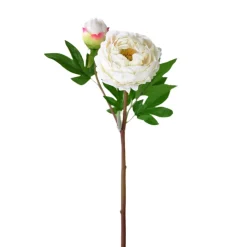 Direct Export Co. White Peony Stem