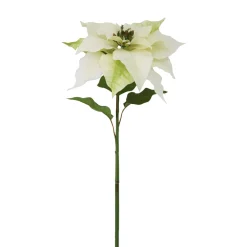 Winward White Poinsettia Pick