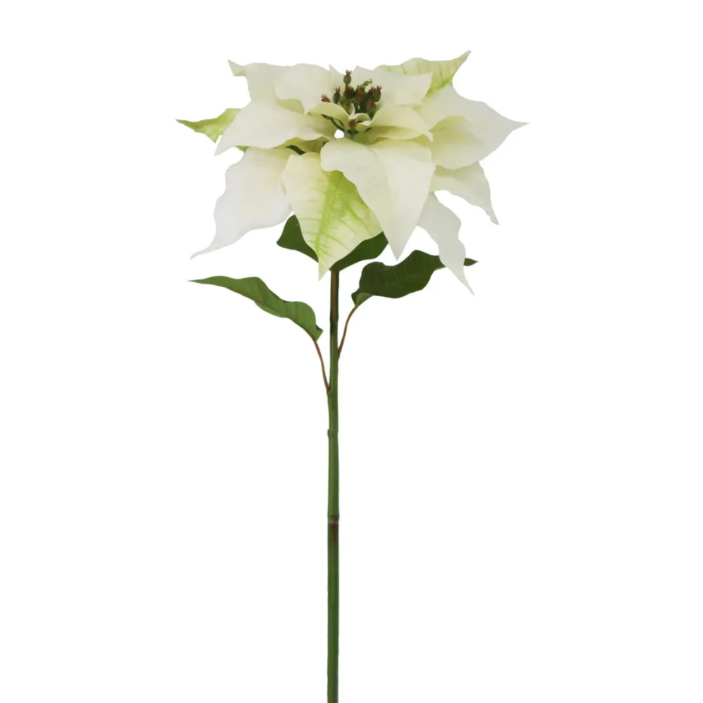 Winward White Poinsettia Pick