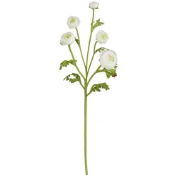 Winward White Ranunculus Spray, 21"