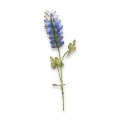 The Round Top Collection Wild Bluebonnet Stake