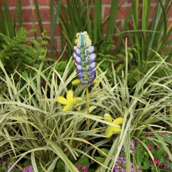 The Round Top Collection Wild Bluebonnet Stake