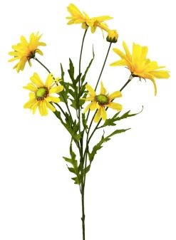 Liberty Floral Yellow Daisy Bush